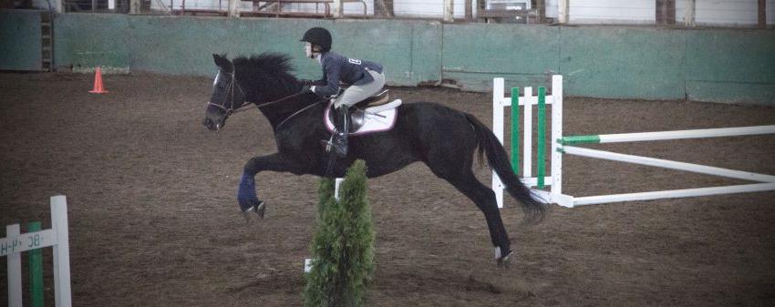 Student on a horse